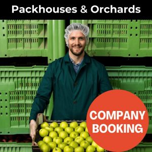Orchard Worker in Packhouse After Induction Training
